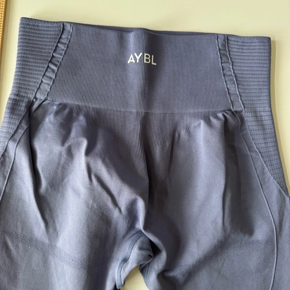AYBL Balance V3 Seamless Leggings Mauve Women’s size large